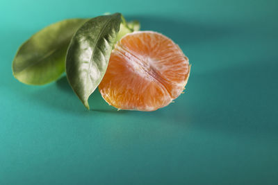 Close-up of orange slice on table