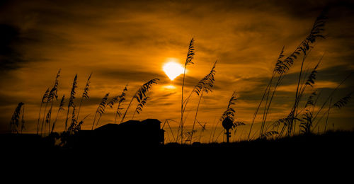 Silhouette plants against sky during sunset