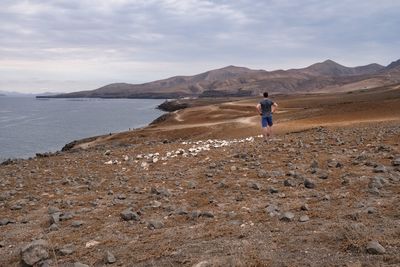 Rear view of man walking on beach against sky