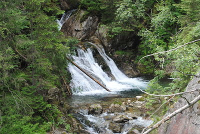 Scenic view of waterfall in forest