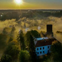 Trees and houses against sky during sunset