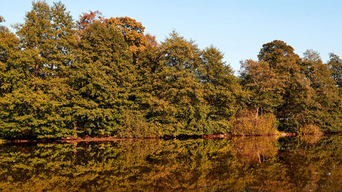 Scenic view of lake in forest during autumn