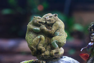 Close-up of old statue against blurred background