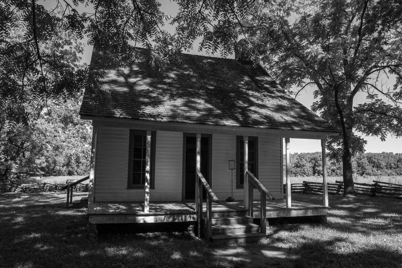 tree, built structure, plant, architecture, house, home, building exterior, black and white, nature, building, day, monochrome photography, no people, cottage, monochrome, outdoors, shack, log cabin, growth, land, tree trunk, seat, estate, trunk, abandoned, sunlight, residential district, rural area, wood, grass, hut, window