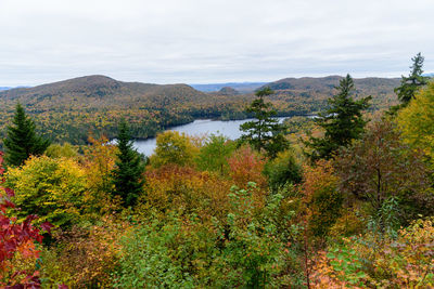 Scenic view of lake by trees against sky