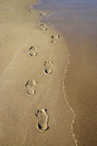 Scenic view of beach