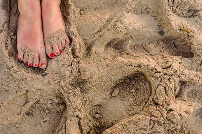 High angle view of woman barefoot covered in sand