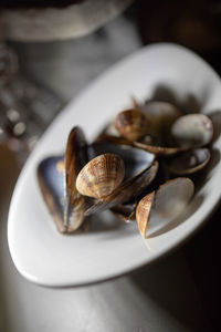 High angle view of shells in plate