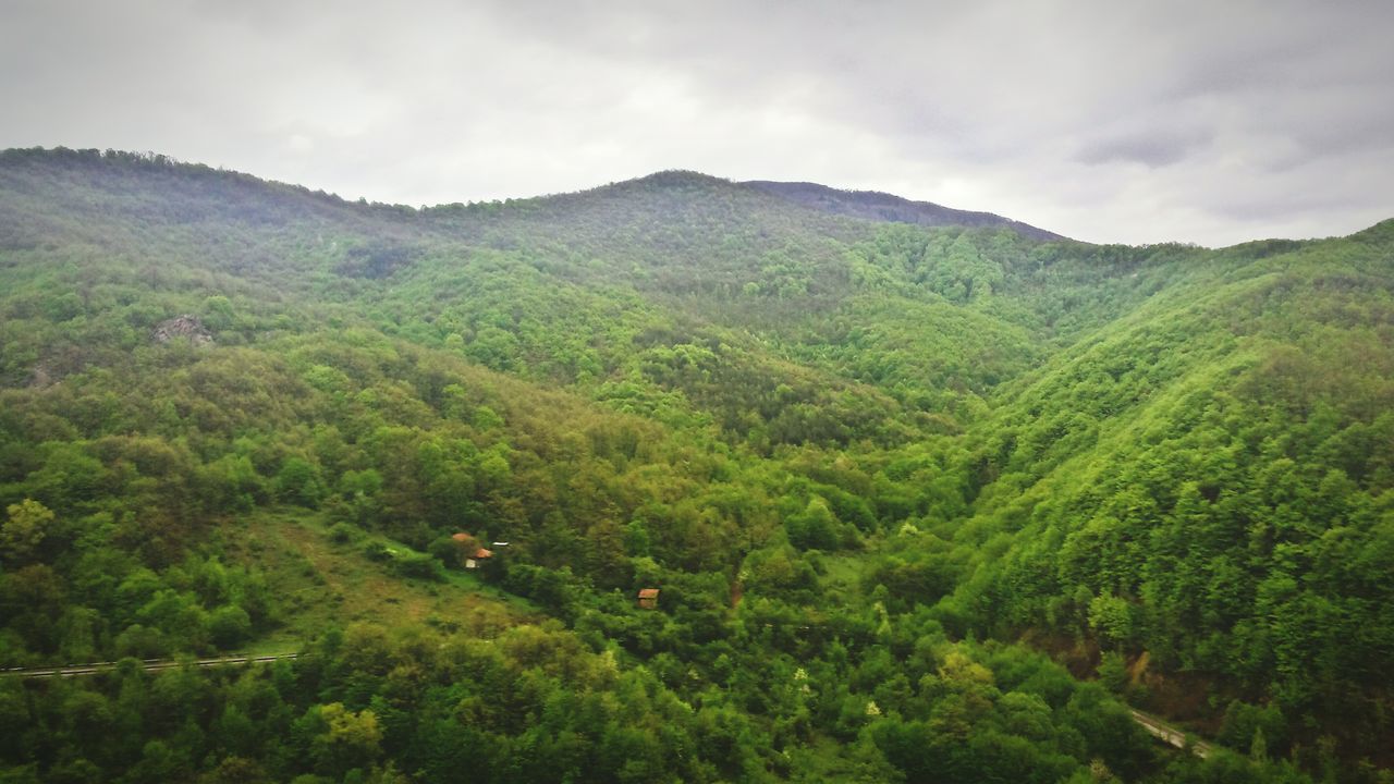 mountain, tranquil scene, tranquility, green color, scenics, beauty in nature, tree, landscape, sky, mountain range, nature, lush foliage, growth, non-urban scene, idyllic, forest, valley, green, cloud - sky, day