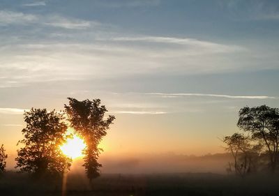 Silhouette trees on landscape against sky at sunset