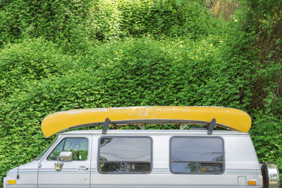 View of yellow car on green plants