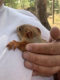 Midsection of person holding teddy bear