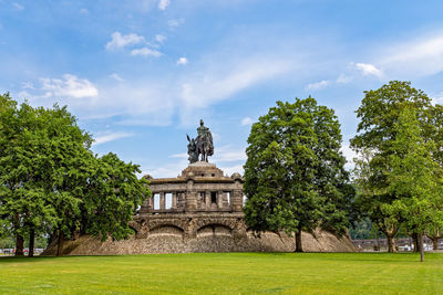 Trees in park