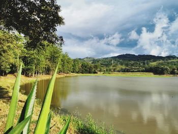 Scenic view of lake by trees against sky