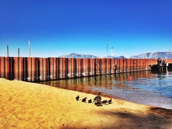 Scenic view of calm sea against clear blue sky