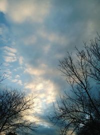 Low angle view of bare tree against cloudy sky