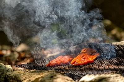 Close-up of crab on barbecue grill