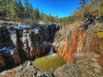 Scenic view of waterfall in forest