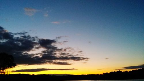 Silhouette of trees at sunset