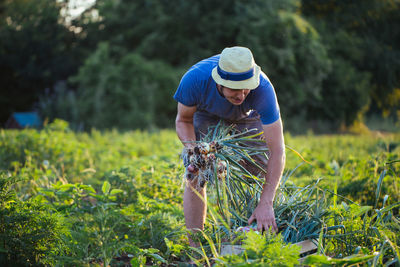 Man with horse standing in grass