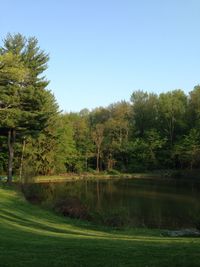 Scenic view of landscape against clear sky