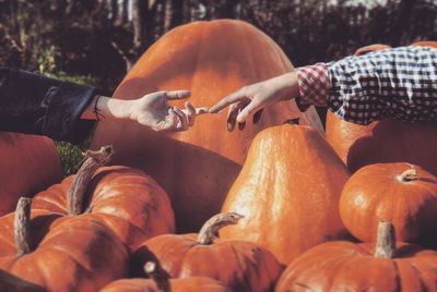 High angle view of pumpkins in market during halloween