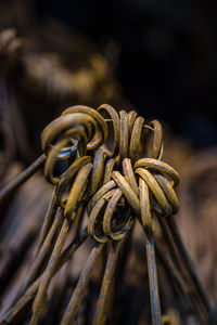 Close-up of rope tied on metal