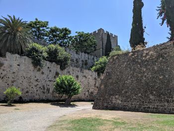 Plants growing on stone wall