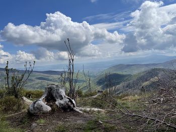 Scenic view of landscape against sky