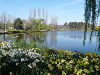 Scenic view of calm lake against sky