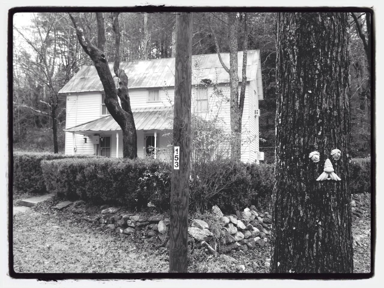 transfer print, building exterior, built structure, architecture, auto post production filter, house, tree, window, abandoned, day, outdoors, wall - building feature, residential structure, obsolete, damaged, one person, old, dry, field, fence