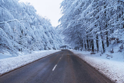 Winter road. country road through forest. travel concept.