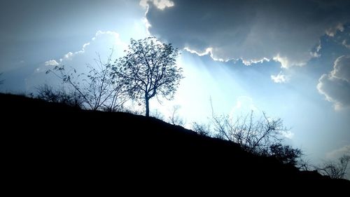 Low angle view of silhouette tree against sky