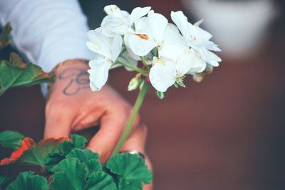 Close-up of woman holding flower bouquet