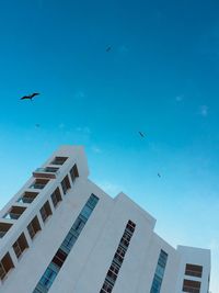 Low angle view of birds flying in sky