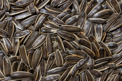 sunflower seed