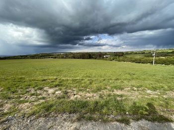 Scenic view of field against sky