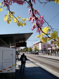 Full length of man standing on tree in city