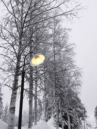 Low angle view of bare trees against sky