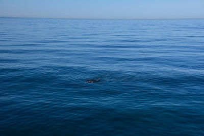 View of blue sea