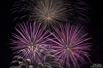 Low angle view of firework display at night