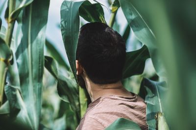 Rear view of man standing amidst plants