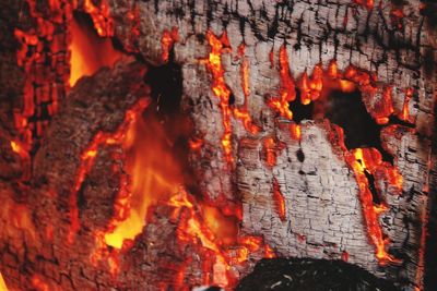 Close-up of orangorange coals