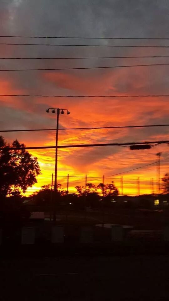 sunset, power line, orange color, electricity pylon, silhouette, sky, power supply, electricity, cable, cloud - sky, connection, beauty in nature, scenics, fuel and power generation, power cable, tree, nature, technology, cloud, dramatic sky