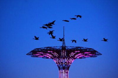 Low angle view of birds flying against clear blue sky