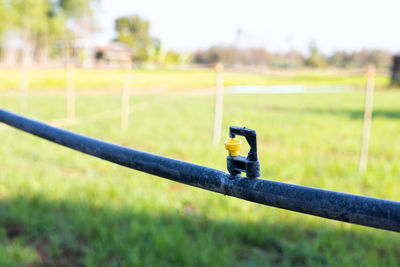 Close-up of bird perching on chainlink fence