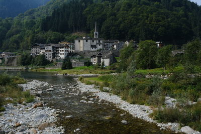 Arch bridge over river by buildings against trees