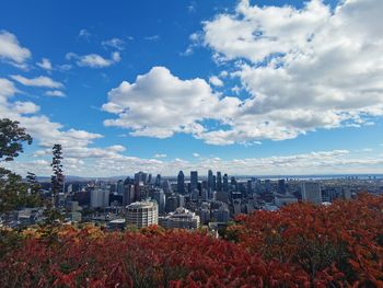 From mount royal in montreal in october