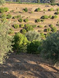 High angle view of land