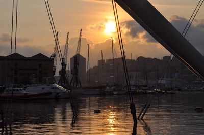 Sailboats in harbor during sunset